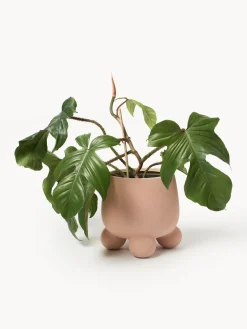 Best Macetero Olea, 26 cm Maceteros|Jarrones