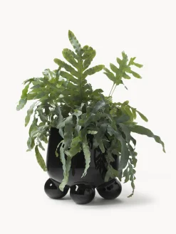 Maceteros|Maceteros De Exterior></noscript>Westwing Collection Macetero Olea, Al 26 cm Negro brillante