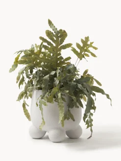 Maceteros|Jarrones></noscript>Westwing Collection Macetero Olea, Al 26 cm Blanco Off White mate