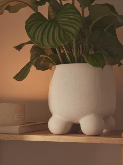 Maceteros|Jarrones></noscript>Westwing Collection Macetero Olea, Al 26 cm Blanco Off White mate