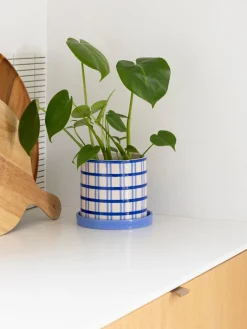 Maceteros|Jarrones><noscript><img width=