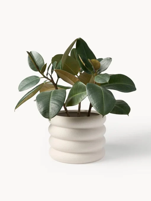 Maceteros|Jarrones>Westwing Collection Macetero Rudi, 23 cm Blanco crema