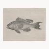 Manteles Individuales|Manteles Individuales>Frohstoff Mantel individual de lino artesanal Barsch