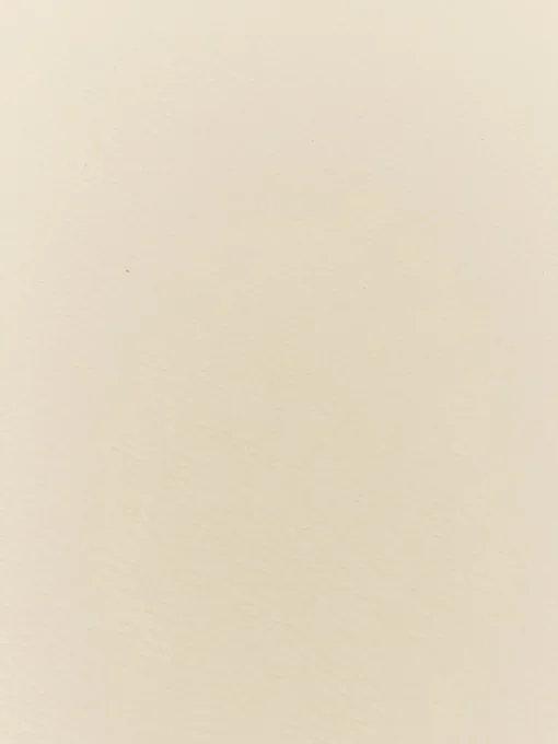 Manteles Individuales|Vajillas Completas>ASA Selection Manteles individuales de cuero sintético Pik, 2 uds. Beige claro