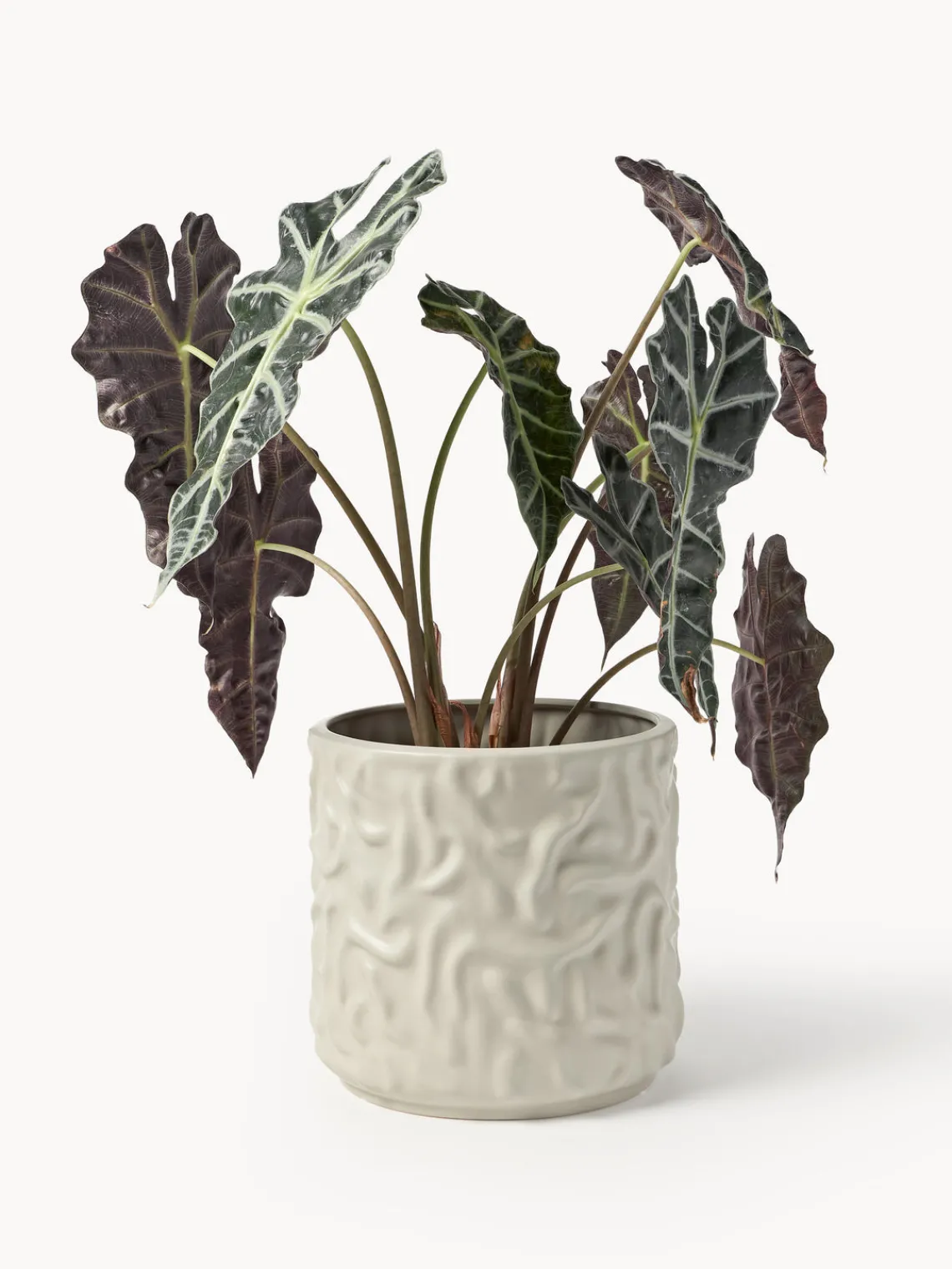 Maceteros|Jarrones>DBKD Olla mediana Swoon - Mole Beige claro