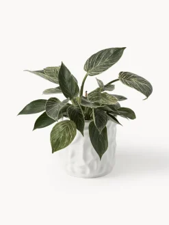Maceteros|Jarrones></noscript>DBKD Olla pequeña Swoon - brillante Blanco