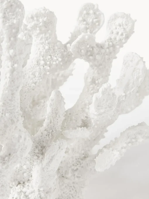 Jarrones|Figuras Decorativas>Westwing Collection Pieza decorativa de diseño Coral