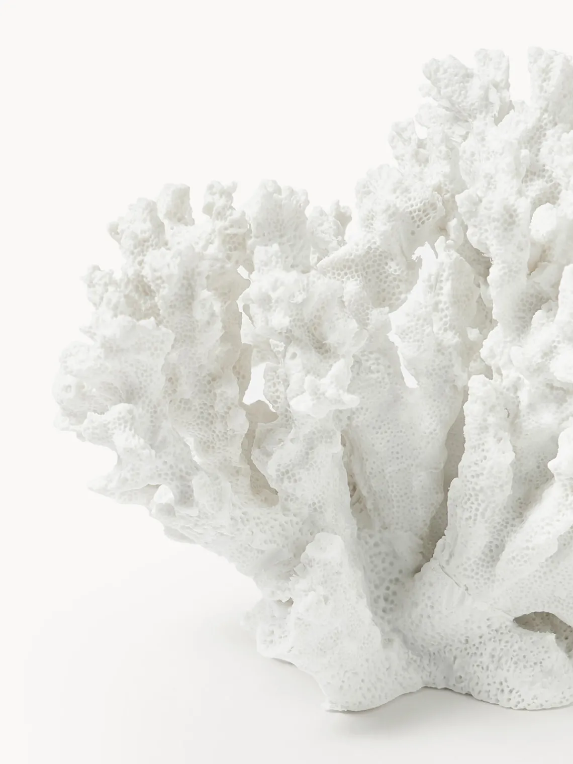 Jarrones|Figuras Decorativas>Westwing Collection Pieza decorativa de diseño Coral