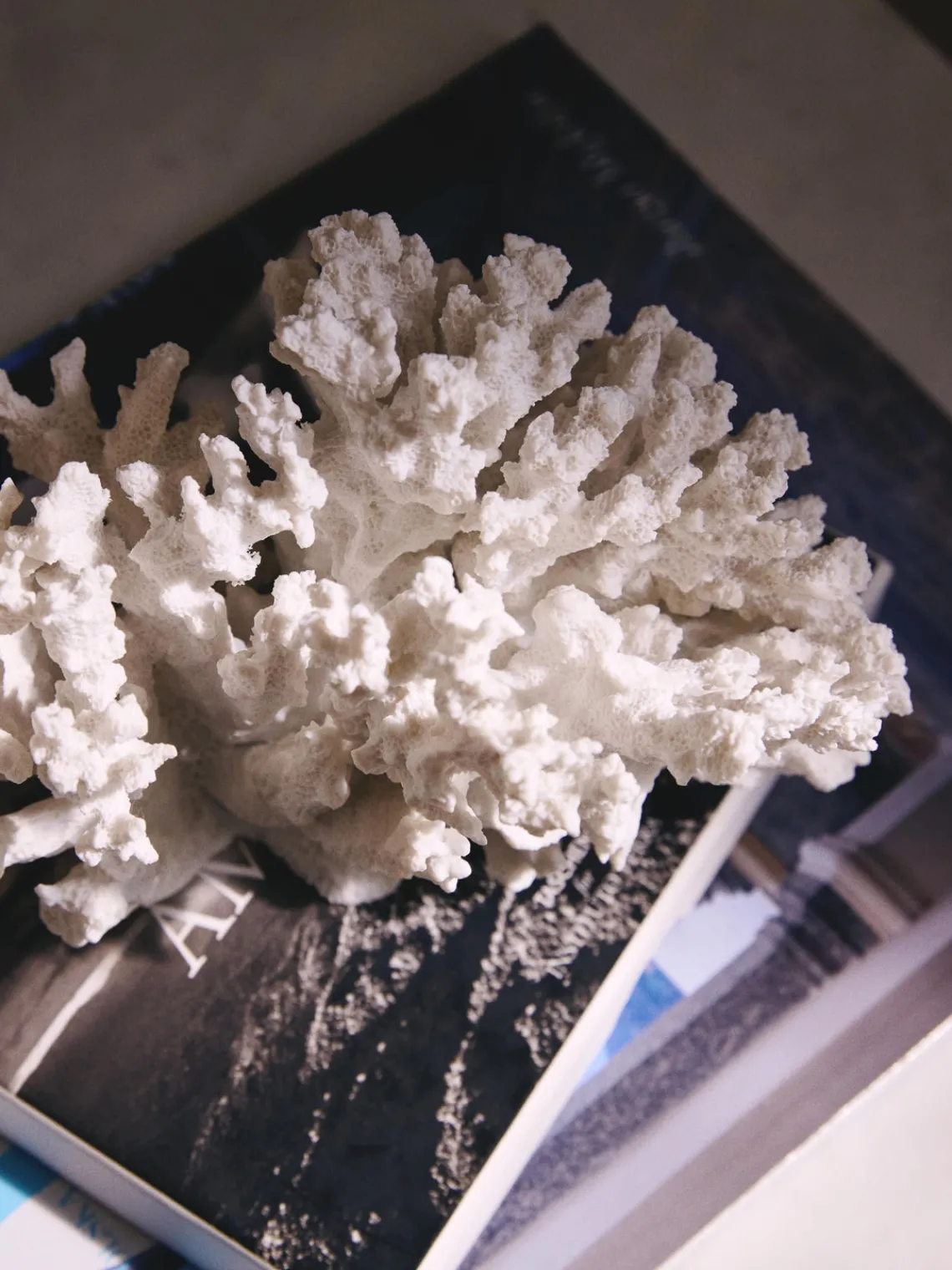 Jarrones|Figuras Decorativas>Westwing Collection Pieza decorativa de diseño Coral