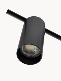 Outlet Plafón Cassandra Plafones|Lámparas De Techo