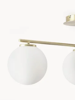 Plafones|Lámparas De Techo></noscript>Westwing Collection Plafón de vidrio opalino Atlanta Blanco, dorado