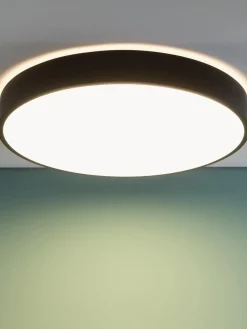 Plafones|Lámparas De Techo><noscript><img width=