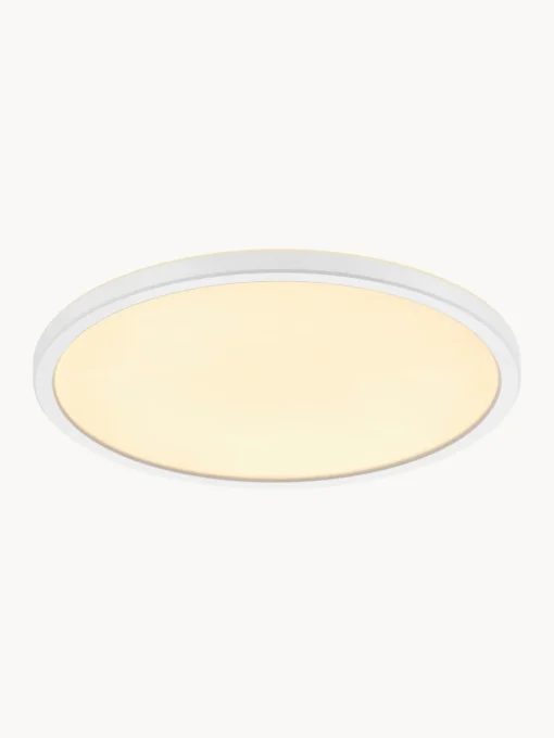 New Plafón pequeño LED regulable Oja Plafones|Lámparas De Techo