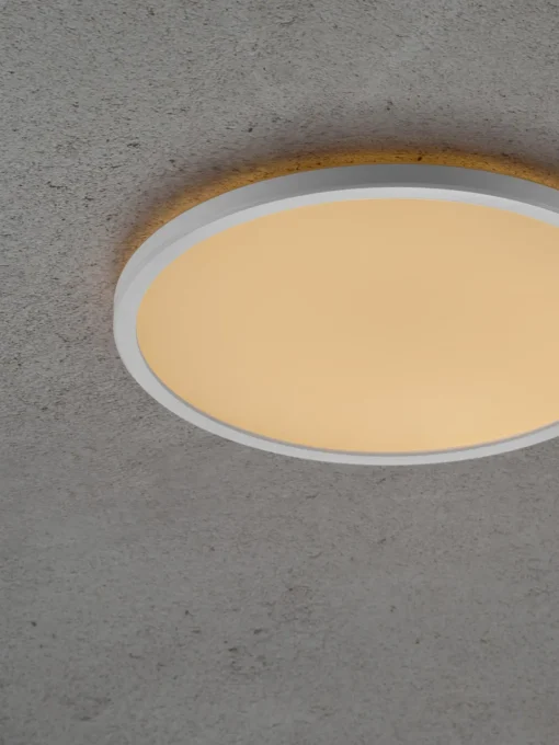 New Plafón pequeño LED regulable Oja Plafones|Lámparas De Techo