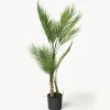 Jarrones|Flores Artificiales> Planta artificial en macetero Palme