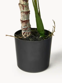 Jarrones|Flores Artificiales><noscript><img width=