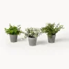 Best Plantas artificiales con macetas Timothy, 3 uds. Flores Artificiales|Jarrones