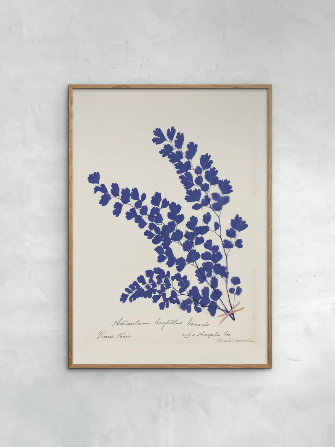 Pósters|Jarrones>POSTER & FRAME Póster enmarcado Botanical Fern III Blue