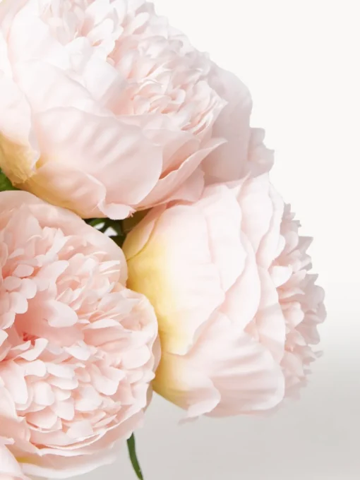 Jarrones|Flores Artificiales>Botané Ramo de flores artificiales Mini Peony Rosa claro, verde