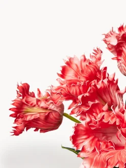 Clearance Ramo de flores artificiales Tulipán Parrot Flores Artificiales|Jarrones