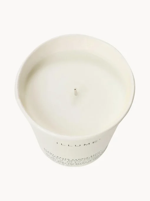 Velas Perfumadas|Jarrones>Bloomingville Recambio de vela perfumada Refill Jazmín y rocío marino salado