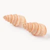 Clearance Salero y pimentero artesanales de dolomita Shell, 2 uds. Molinillos De Especias|Molinillos De Especias