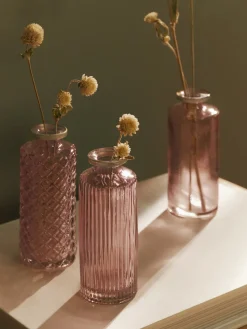 Jarrones|Jarrones> Set de jarrones pequeños de vidrio Adore, 3 uds. Rosa claro transparente, plateado