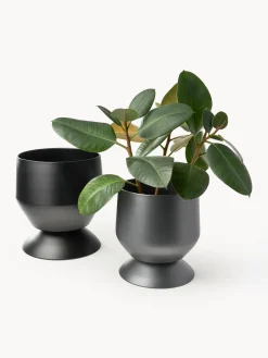 Maceteros|Jarrones><noscript><img width=