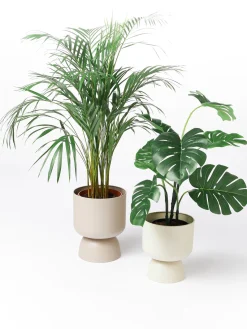 Maceteros|Jarrones><noscript><img width=