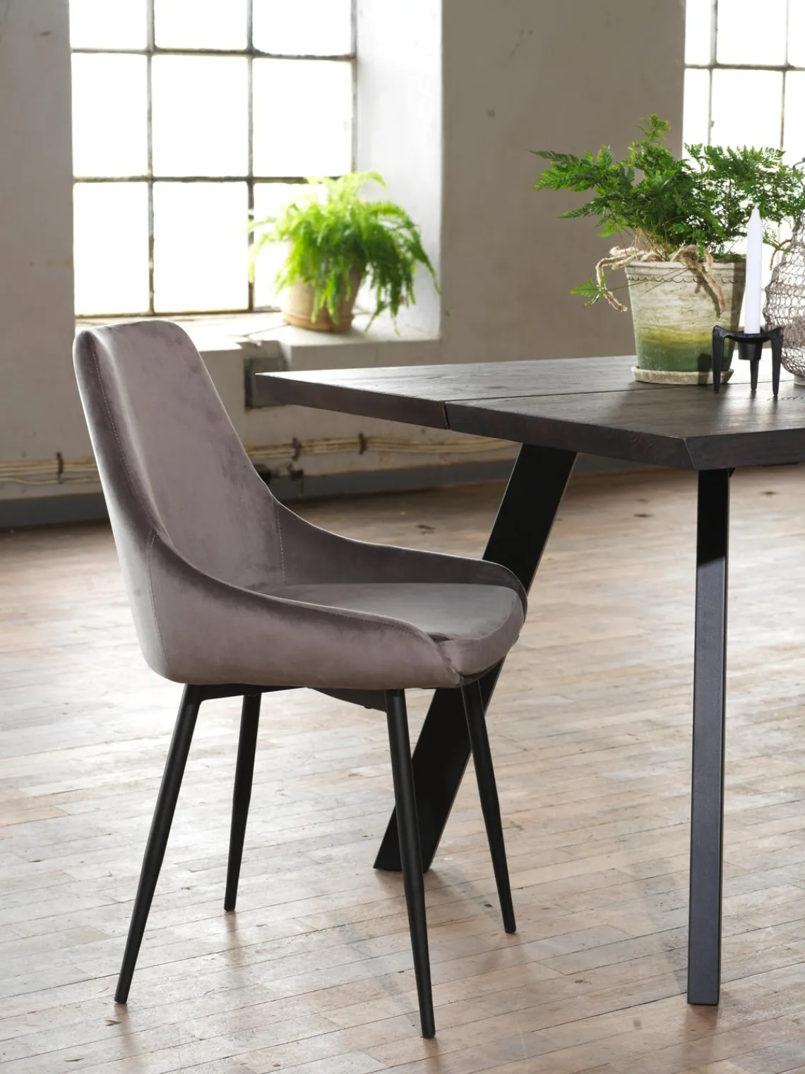 Sillas>Rowico Home Sillas tapizadas en terciopelo Sierra, 2 uds. Terciopelo gris