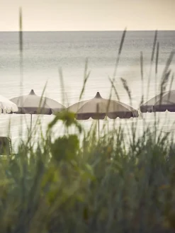 Sale Sombrilla Pagoda, Ø 250 cm Sombrillas|Sombrillas