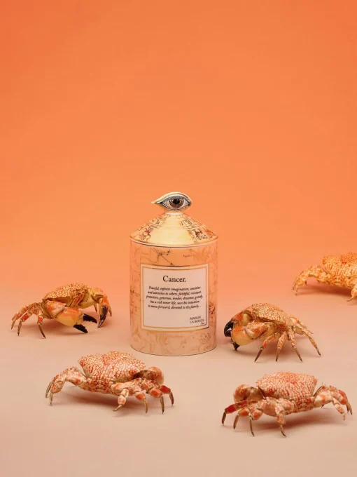 Velas Perfumadas|Jarrones>Maison La Bougie Vela perfumada artesanal Cancer (bergamota y vetiver) Cáncer: bergamota y vetiver