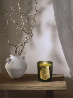 Velas Perfumadas|Jarrones></noscript>Trudon Vela perfumada artesanal Gabriel Madera de cachemira, musgo