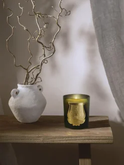 Velas Perfumadas|Jarrones></noscript>Trudon Vela perfumada artesanal Abd El Kader Jazmín