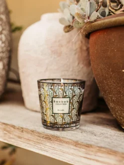 Velas Perfumadas|Jarrones></noscript>Baobab Vela perfumada My First Brussels Cedro, sándalo y miel