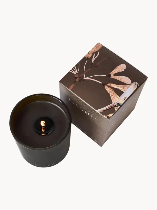 Velas Perfumadas|Jarrones>Bloomingville Vela perfumada Refill (madera de cedro, gamuza & ámbar) Madera de cedro, gamuza y ámbar
