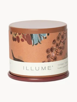 Best Vela perfumada Vanity Tin (almizcle de cachemira, hoja de tabaco y naranja) Velas Perfumadas|Jarrones
