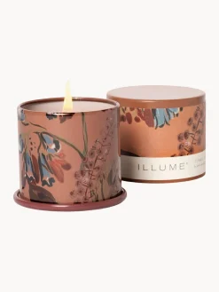 Best Vela perfumada Vanity Tin (almizcle de cachemira, hoja de tabaco y naranja) Velas Perfumadas|Jarrones